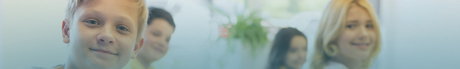 Header Aşık Veysel